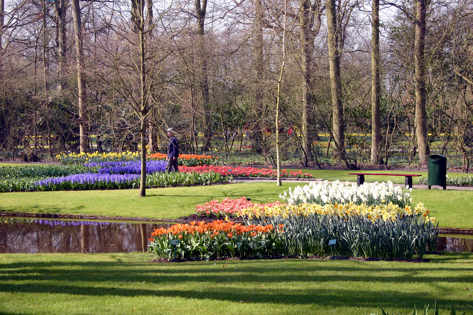 Keukenhof, Lisse
